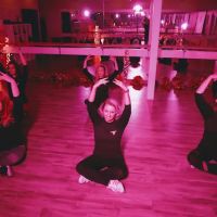 SassiFit Dance Fitness LLC - Littleton ico