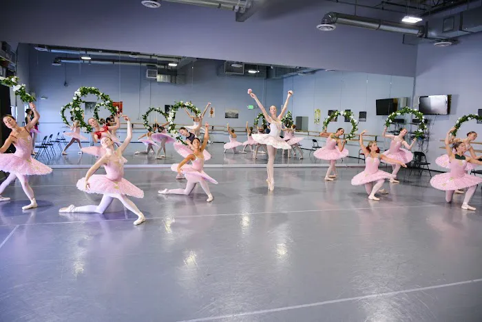 Denver Ballet Theatre Academy Picture 9