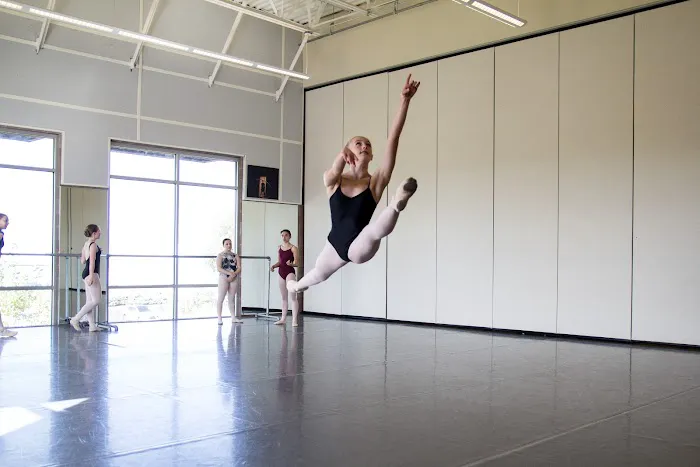 Denver Ballet Theatre Academy Picture 6