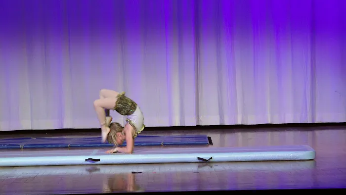 Step It Up Performing Arts Academy Picture 9