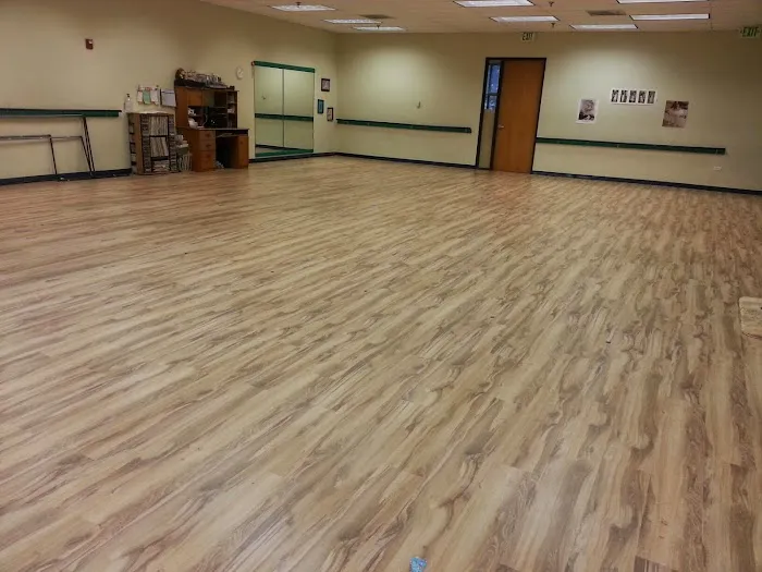 Dance Academy Inc Picture 6