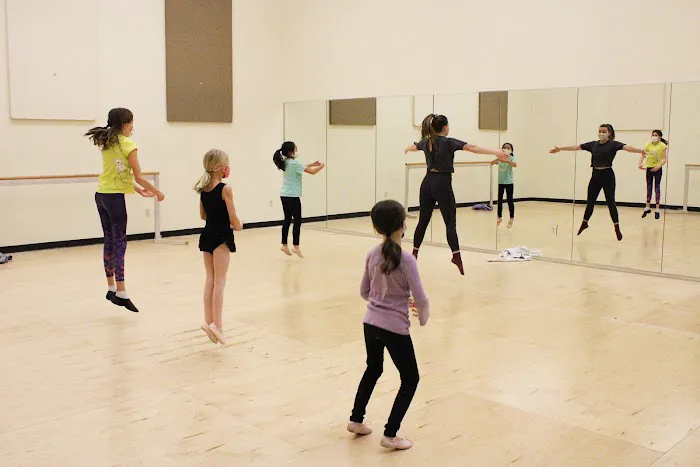 PAA - Performing Arts Academy Picture 4