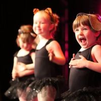 Mountain Contemporary Dance Arts ico