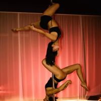 Steel Heart Dance ico