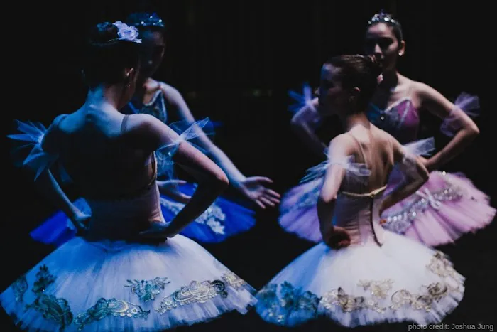 Bay Area Ballet Conservatory Picture 1