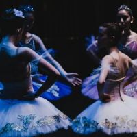 Bay Area Ballet Conservatory ico