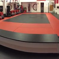 Dancel's Academy of Tae Kwon Do ico
