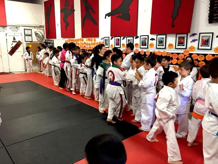 Dancel's Academy of Tae Kwon Do Picture 5