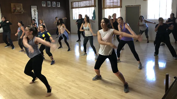 DanceVibes Picture 5