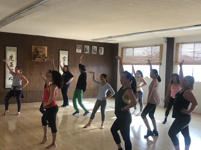 DanceVibes Picture 10
