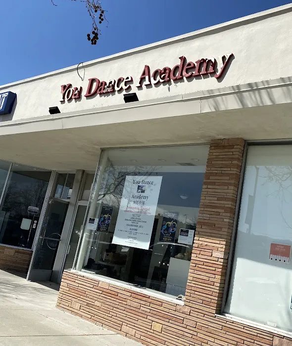 You Dance Academy Picture 1