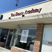 You Dance Academy ico