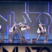 The Dance Movement ico