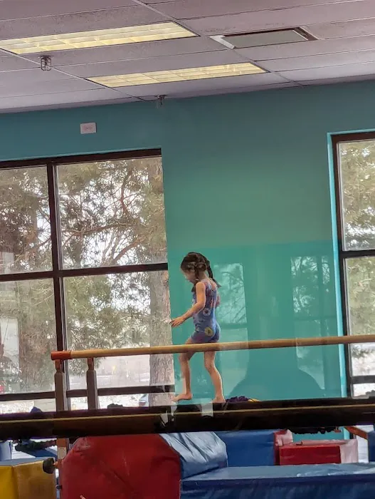 The Little Gym of Park Meadows Picture 3