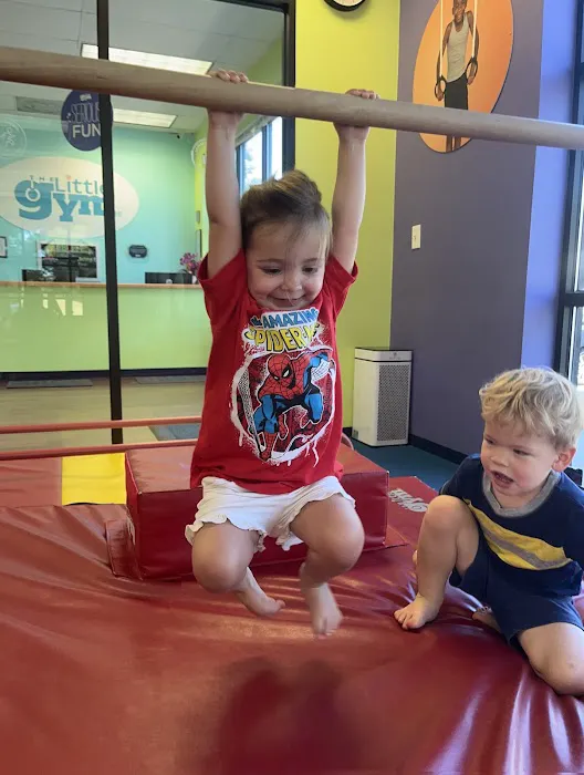 The Little Gym of Park Meadows Picture 7