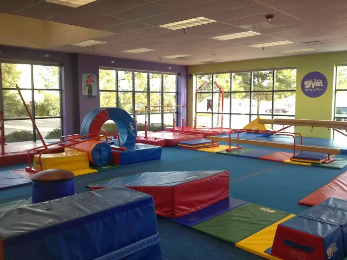 The Little Gym of Park Meadows Picture 5