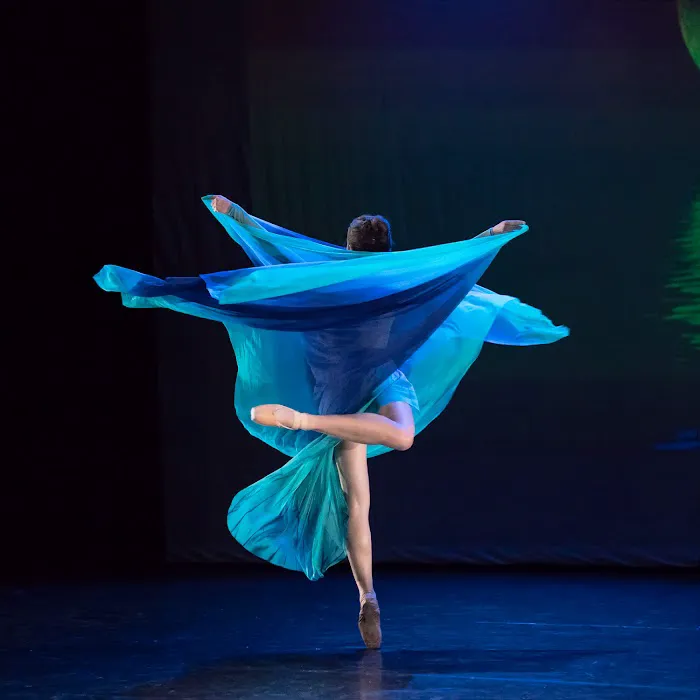 Danse Etoile Ballet Picture 3