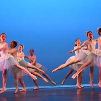 Peninsula Dance Academy ico