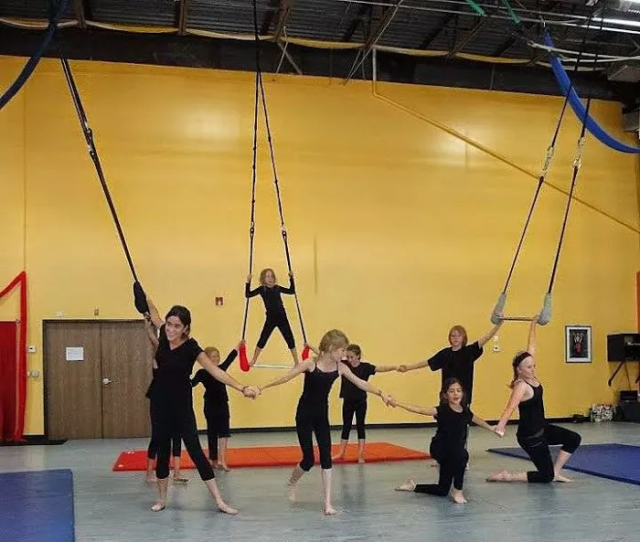 Frequent Flyers Aerial Dance Studio Picture 5