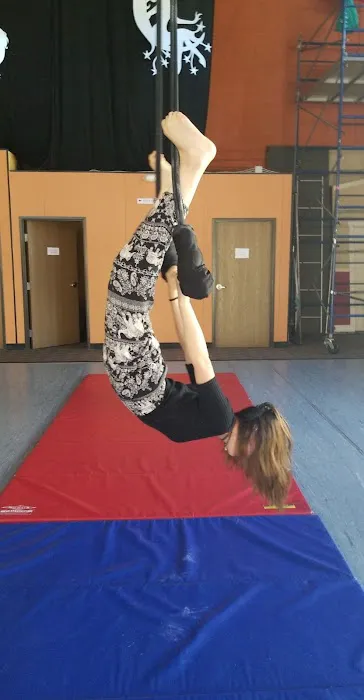 Frequent Flyers Aerial Dance Studio Picture 2