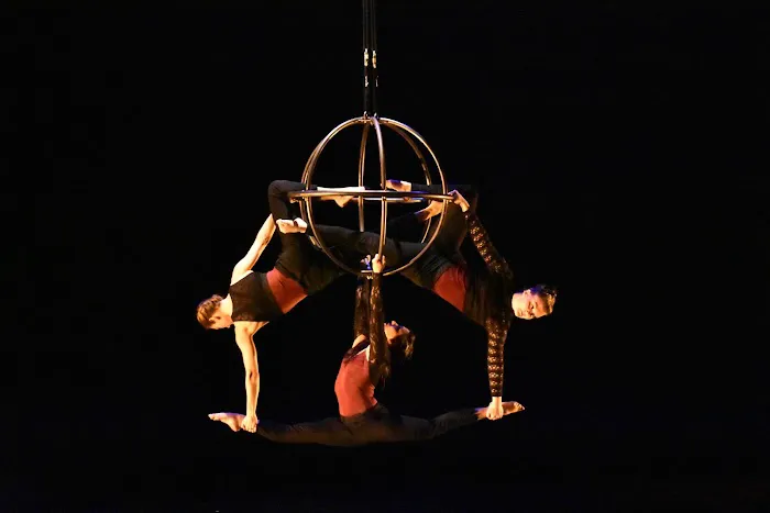Frequent Flyers Aerial Dance Studio Picture 1
