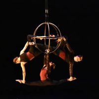 Frequent Flyers Aerial Dance Studio ico