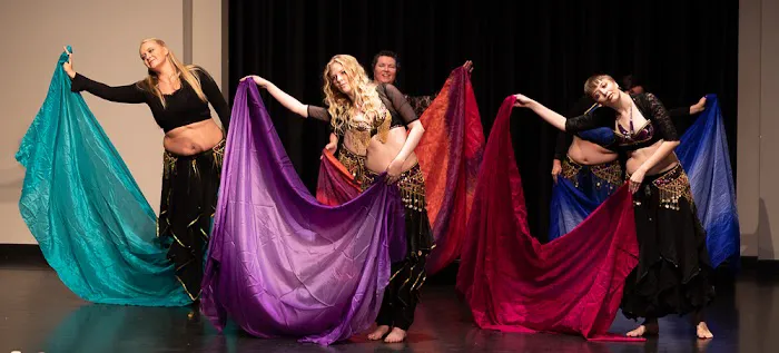 Hamsa Arts Dance Studio Picture 1