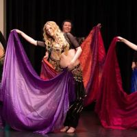 Hamsa Arts Dance Studio ico