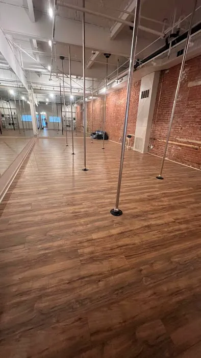 Catwoman Pole Academy Picture 4