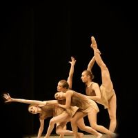 Shely Pack Dancers Studio LLC ico