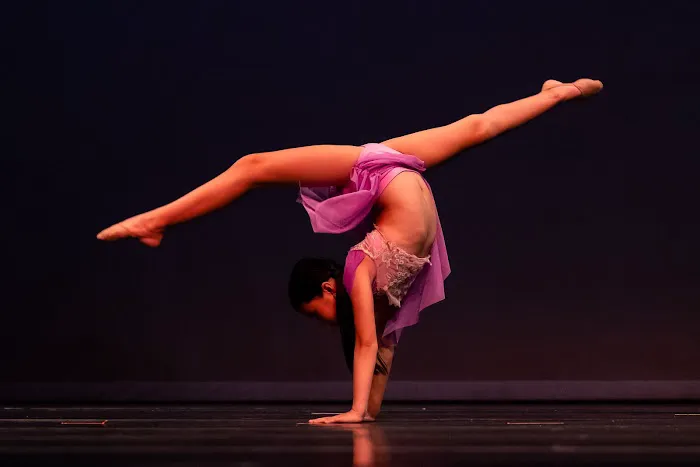 Principal Creative & Performing Arts Picture 1