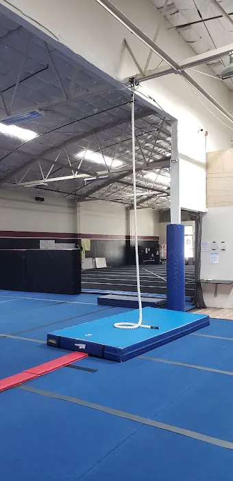 Silicon Valley Elite Cheer Picture 5