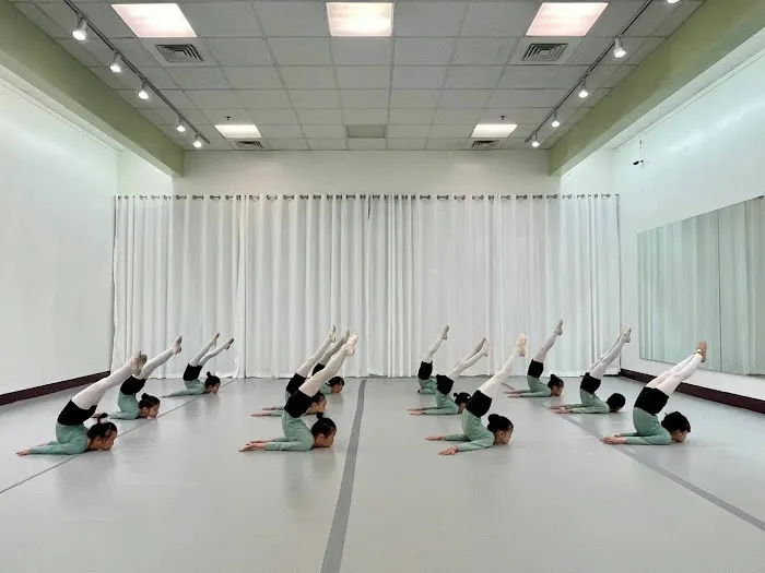 Fan Yang Dance Academy Picture 4