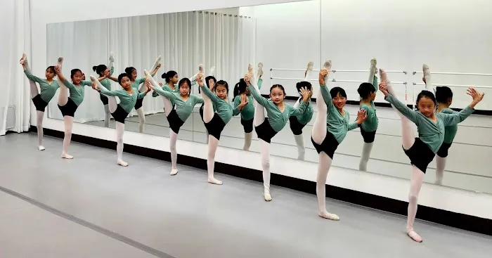 Fan Yang Dance Academy Picture 8