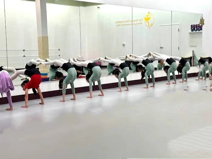 Fan Yang Dance Academy Picture 1