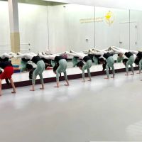 Fan Yang Dance Academy ico