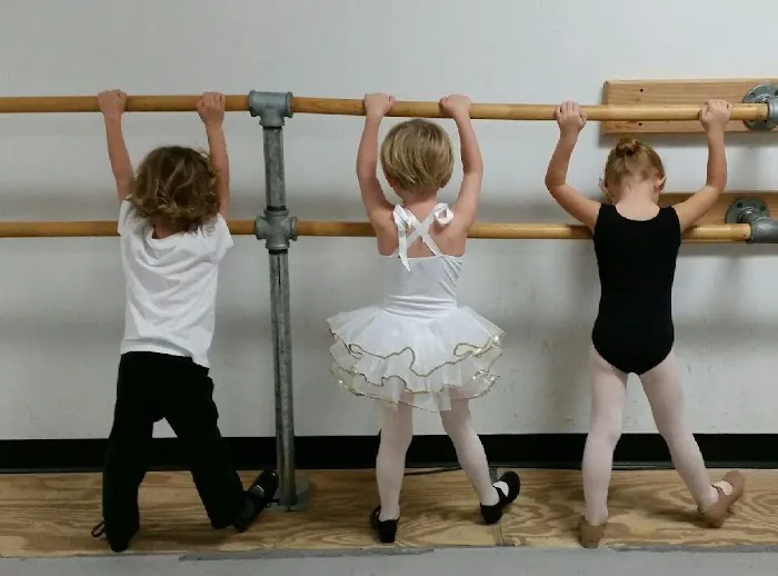 Centennial State Ballet Picture 5