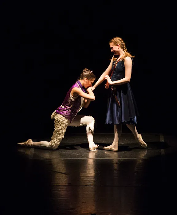 Centennial State Ballet Picture 6
