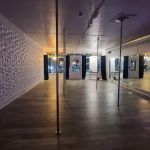 Vertical Fusion Longmont