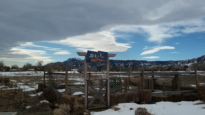 Boulder Circus Center Picture 8
