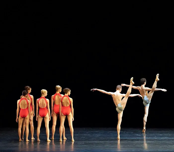 Lemon Sponge Cake Contemporary Ballet Picture 6