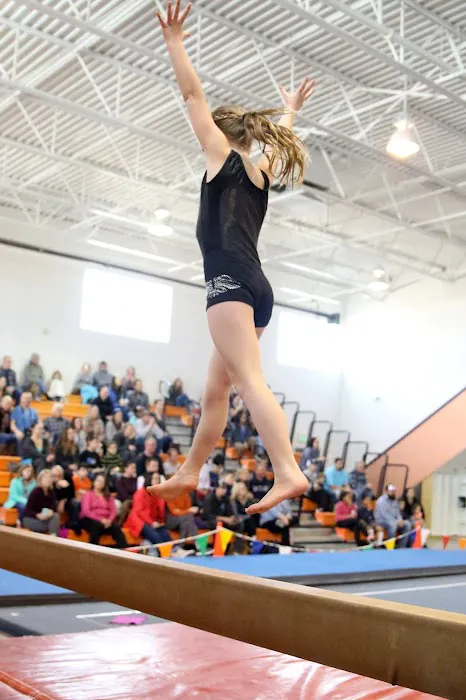 Airborne Gymnastics Picture 2