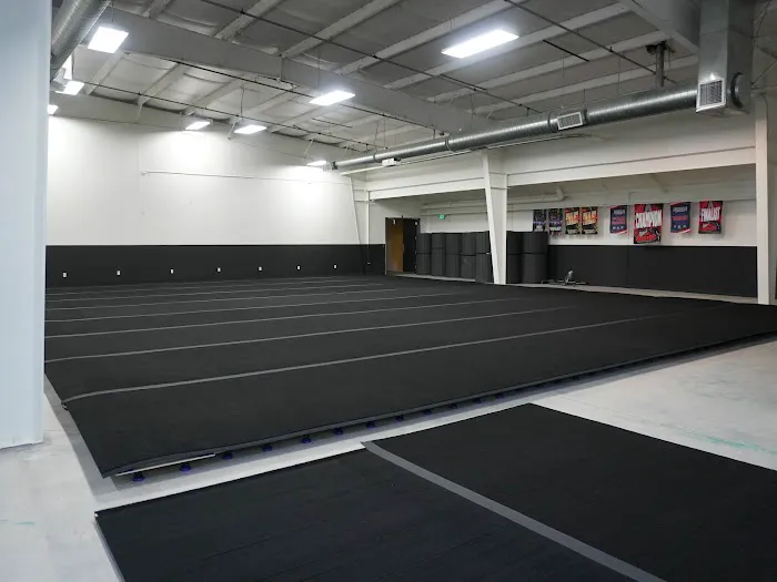 Wells Athletics Cheer & Dance - Longmont Picture 4