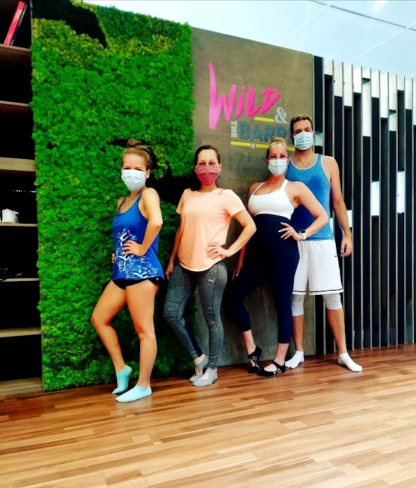 Wild & the Barre Fitness Studio Picture 8