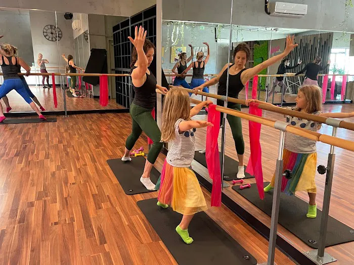 Wild & the Barre Fitness Studio Picture 4