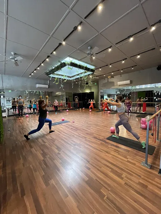 Wild & the Barre Fitness Studio Picture 2
