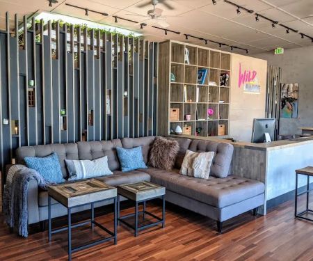 Wild & the Barre Fitness Studio