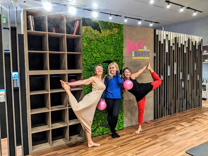 Wild & the Barre Fitness Studio Picture 6