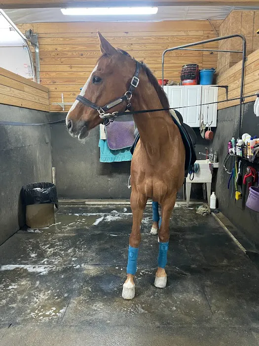 Wind Dance Equestrian Center Picture 5