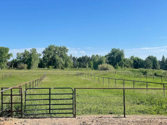 Wind Dance Equestrian Center Picture 10